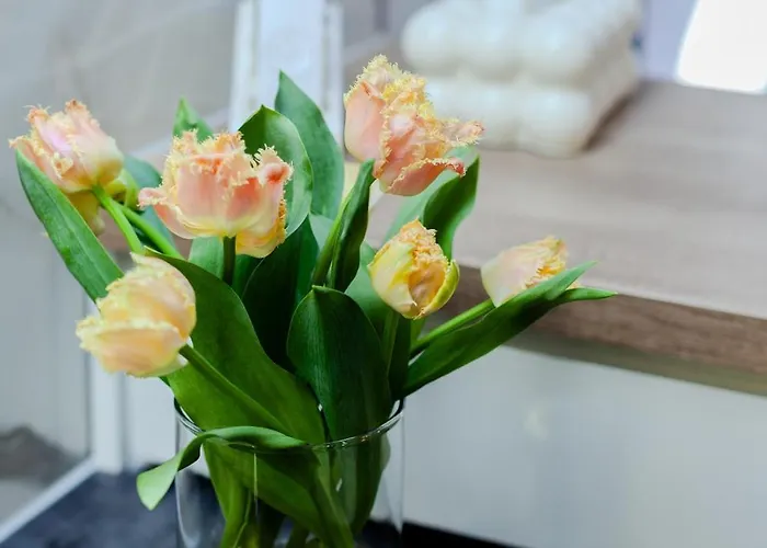 Downtown Cracow Krakow