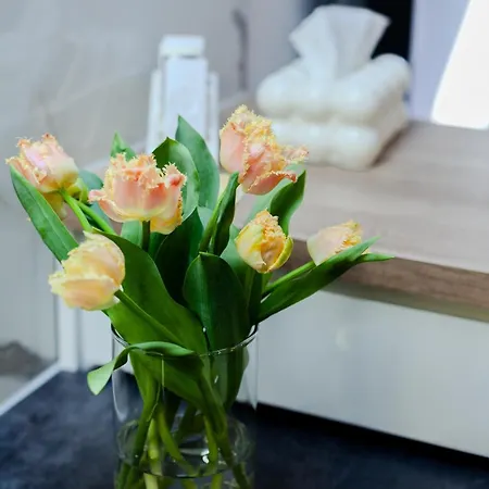 Downtown Cracow Krasków