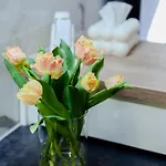 Downtown Cracow 克拉科夫