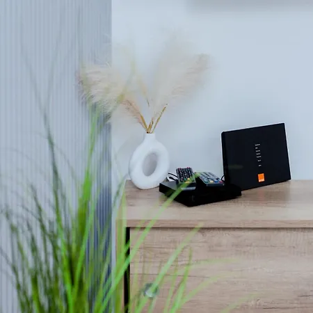 Downtown Cracow Apartment